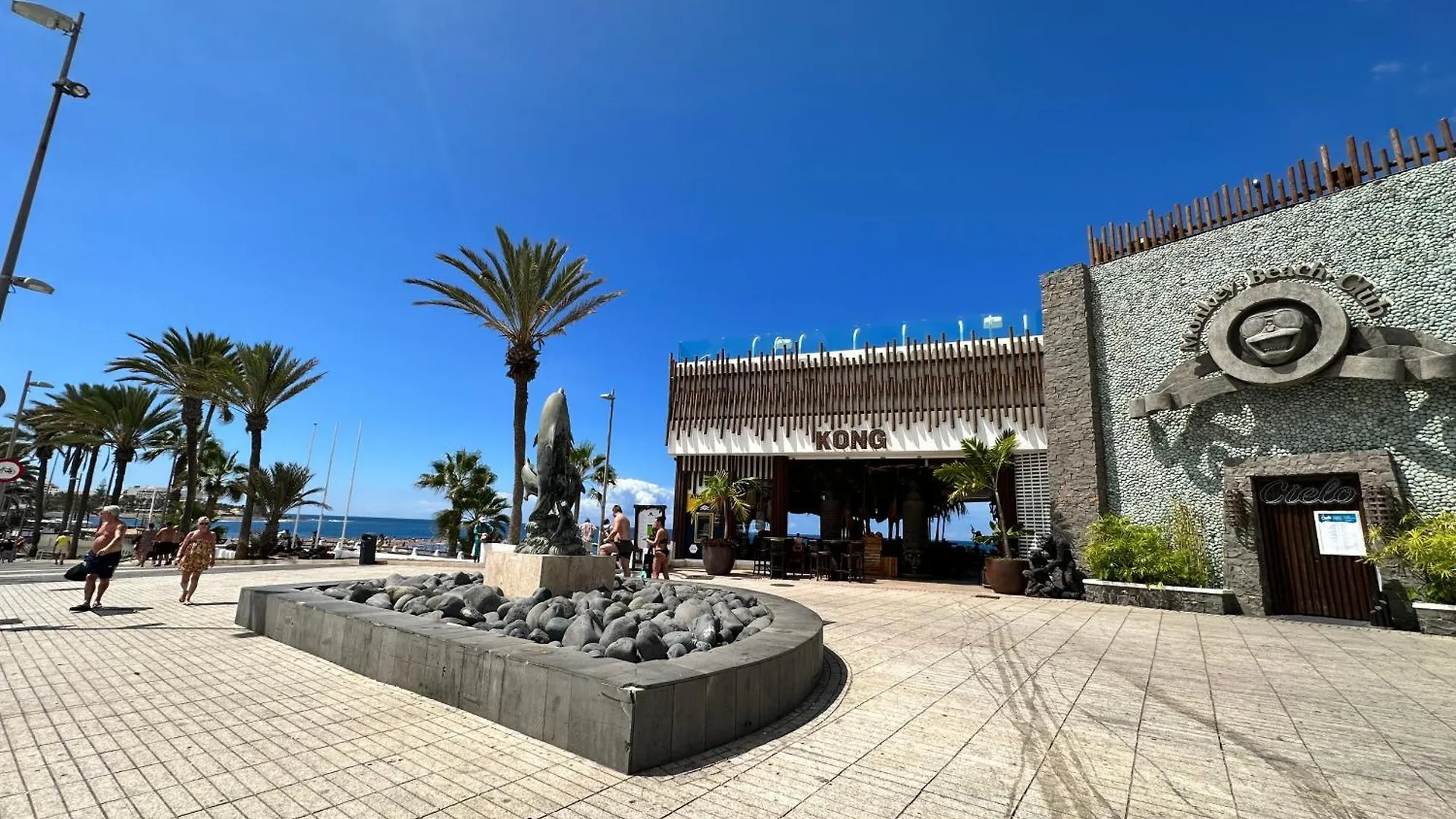 Torres De Yomely - M1C Apartment Arona  Arona (Tenerife)